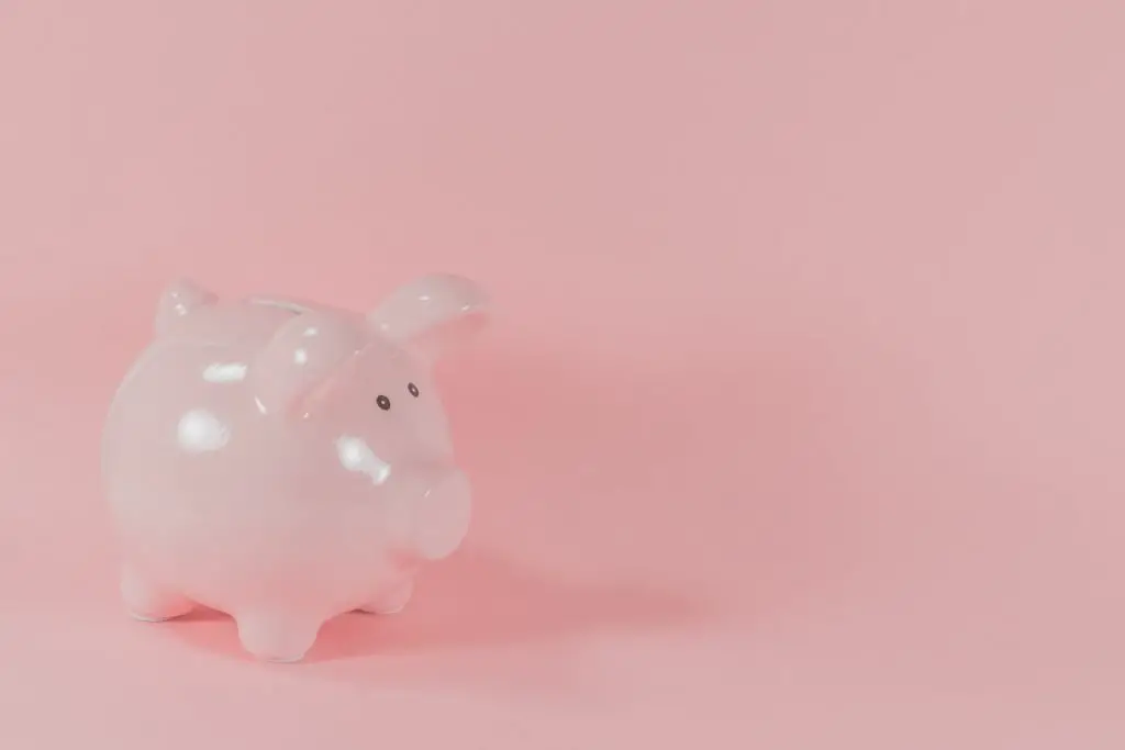 Small pink piggy bank on a pink background 